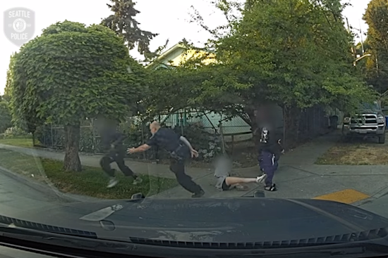 VIDEO: Teen Arrested After Failed Carjacking Leads to Foot Chase in Seattle's South Park