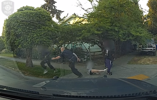 VIDEO: Teen Arrested After Failed Carjacking Leads to Foot Chase in Seattle's South Park