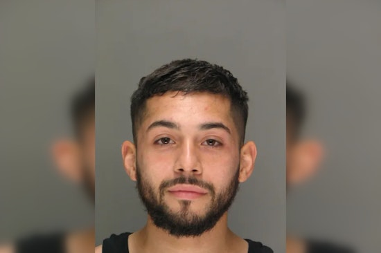 Warwick Man Charged with Animal Cruelty, Found with Deceased and Emaciated Dogs in Deplorable Conditions