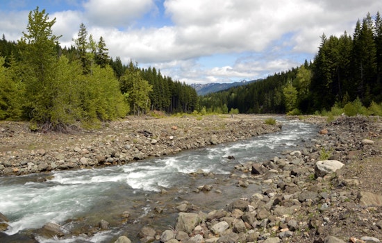 Washington Calls for Public Input on 2025 State Wildlife Action Plan Revision