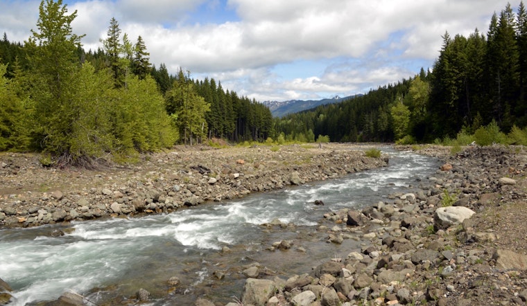 Washington Calls for Public Input on 2025 State Wildlife Action Plan Revision