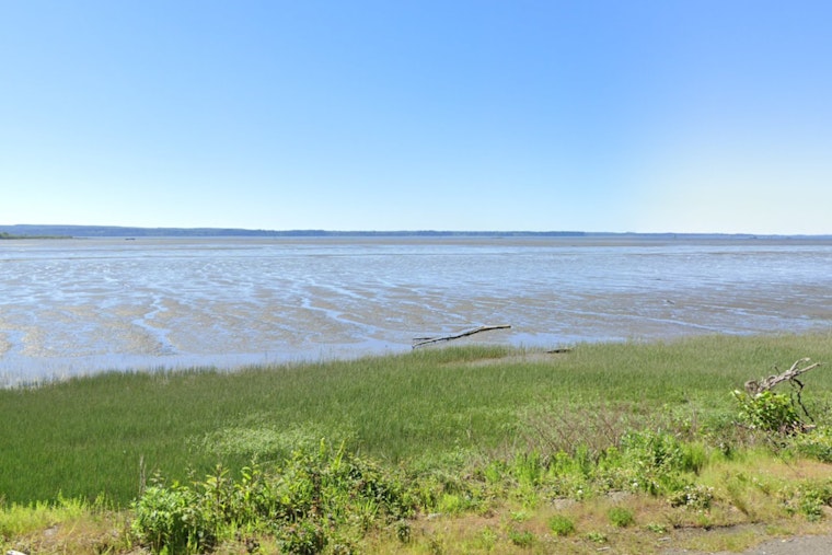Washington Fish and Wildlife Commission Seeks Public Input on Grays Harbor Salmon Management