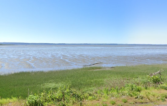 Washington Fish and Wildlife Commission Seeks Public Input on Grays Harbor Salmon Management
