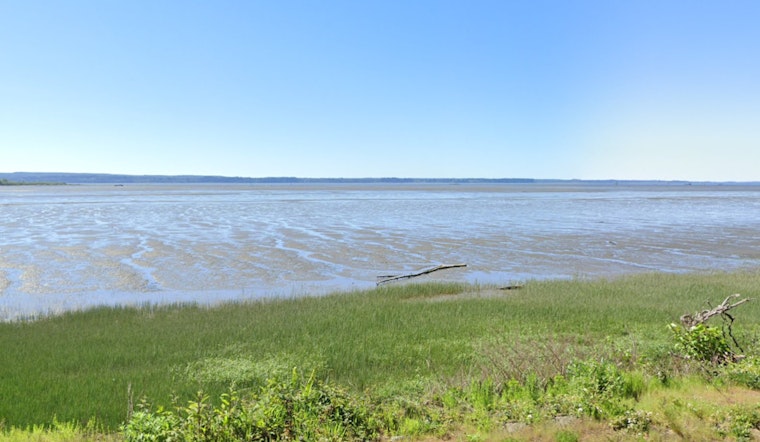 Washington Fish and Wildlife Commission Seeks Public Input on Grays Harbor Salmon Management