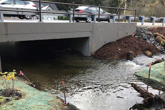 Washington State Forges Ahead with Salmon Habitat Restoration