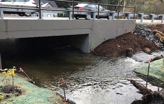Washington State Forges Ahead with Salmon Habitat Restoration
