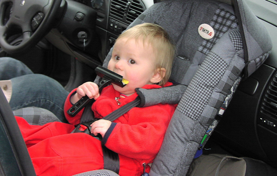 Waxahachie Police Teams Up with AgriLife Extension for Free Car Seat Safety Event on Sept 16th