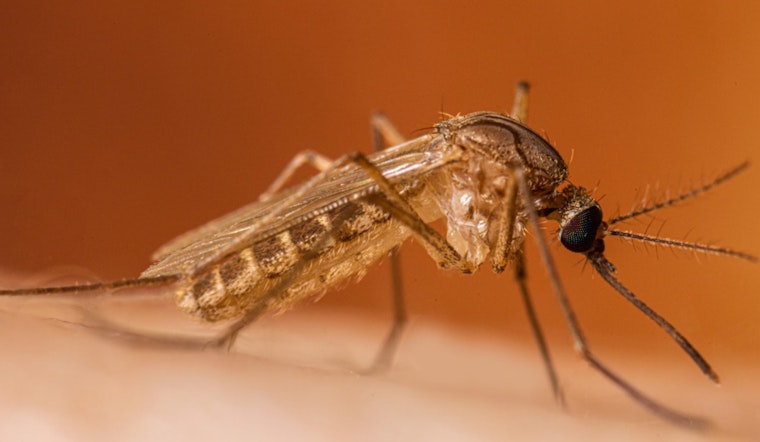 West Nile Virus Detected in Deceased Falcon Near Detroit, Michigan Residents Advised to Take Precautions Amid Rising Cases