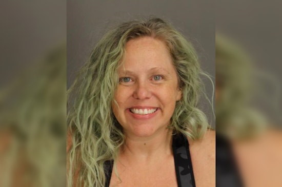 Westland Woman Charged with Assault, DUI in Vehicular Rampage Leaving Man Severely Injured
