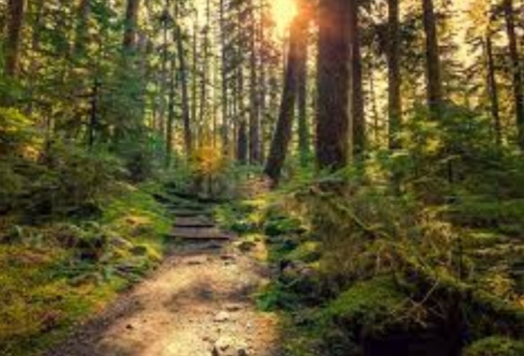 Women's Wellness Evening Merges Mindfulness and Outdoor Adventure at Cleary Lake Regional Park