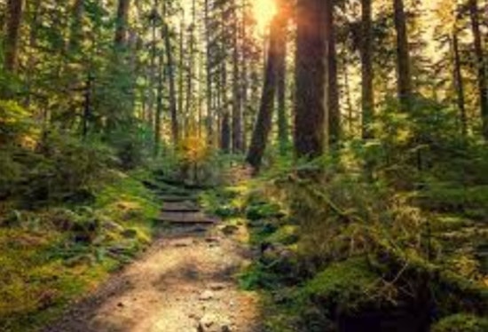 Women's Wellness Evening Merges Mindfulness and Outdoor Adventure at Cleary Lake Regional Park