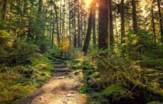 Women's Wellness Evening Merges Mindfulness and Outdoor Adventure at Cleary Lake Regional Park