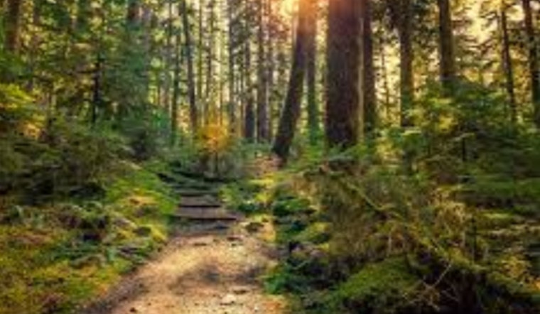 Women's Wellness Evening Merges Mindfulness and Outdoor Adventure at Cleary Lake Regional Park