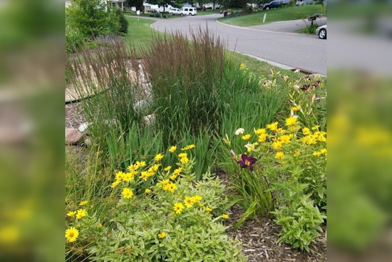 Woodbury Invites Public Feedback on Draft Environmental Stewardship Plan with Upcoming Community Sessions