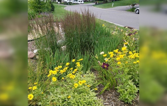 Woodbury Invites Public Feedback on Draft Environmental Stewardship Plan with Upcoming Community Sessions