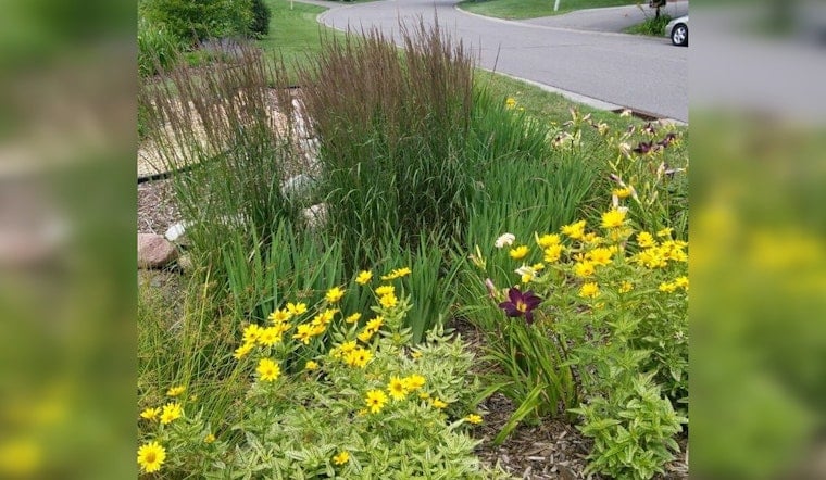 Woodbury Invites Public Feedback on Draft Environmental Stewardship Plan with Upcoming Community Sessions