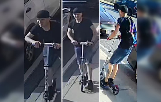 Worcester Police Seek Public Help to Identify Man in Downtown Car Vandalism Spree