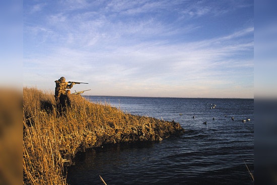 Wright County Revives Disabled Veterans Duck Hunt for October Return, Honoring Heroes with Outdoor Tradition