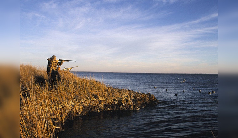 Wright County Revives Disabled Veterans Duck Hunt for October Return, Honoring Heroes with Outdoor Tradition