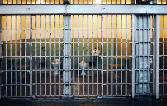 Zephyrhills Man Sentenced to 17 Years for Child Sexual Abuse Material