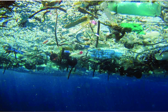 San Francisco Welcomes Ships Returning from Great Pacific Garbage Patch Cleanup