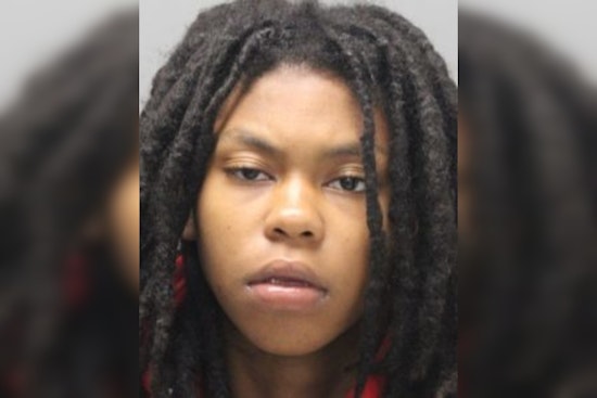 19-Year-Old Woman Arrested for Strong-Arm Robbery at Wilmington's Canby Park Shopping Center