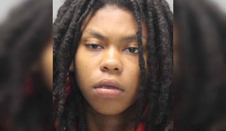 19-Year-Old Woman Arrested for Strong-Arm Robbery at Wilmington's Canby Park Shopping Center