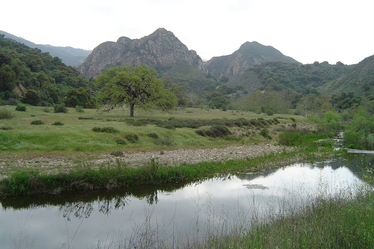 5-Year-Old Boy Survives Mountain Lion Attack During Family Picnic at Malibu Creek State Park