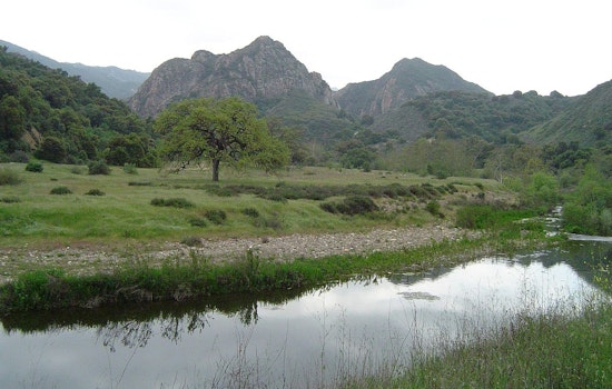 5-Year-Old Boy Survives Mountain Lion Attack During Family Picnic at Malibu Creek State Park