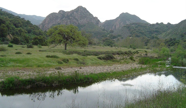5-Year-Old Boy Survives Mountain Lion Attack During Family Picnic at Malibu Creek State Park