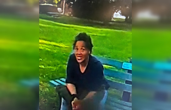 Allen Park Police Seek Public's Aid in Locating Missing 67-Year-Old Carolyn Jackson Last Seen Near Southgate