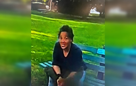 Allen Park Police Seek Public's Aid in Locating Missing 67-Year-Old Carolyn Jackson Last Seen Near Southgate