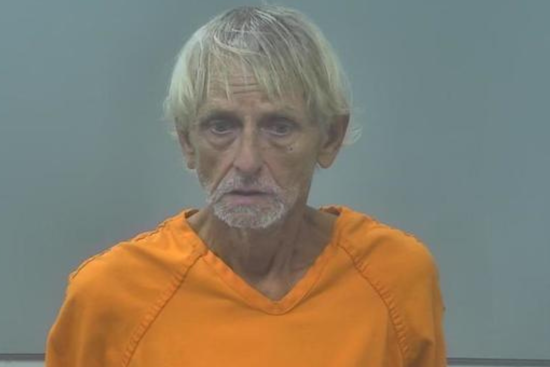 Alpena Man Accused of Fatally Stabbing Puppy, Charged With Animal Killing/Torturing
