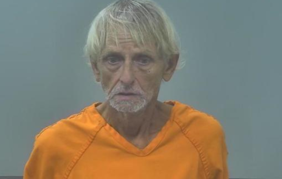 Alpena Man Accused of Fatally Stabbing Puppy, Charged With Animal Killing/Torturing