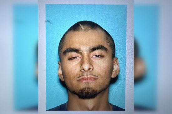 Armed Suspect Apprehended in Joshua Tree After Firing Shots, Prompting Community Lockdown