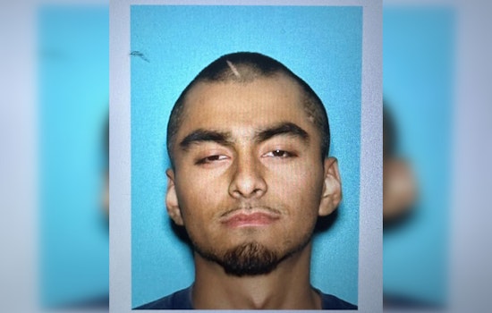 Armed Suspect Apprehended in Joshua Tree After Firing Shots, Prompting Community Lockdown