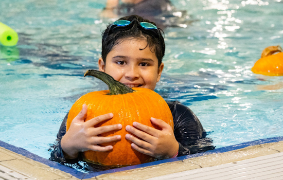 Autumn Celebrations, Arlington Parks and Recreation Hosts Exciting October Events