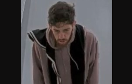 Baltimore County Police Seek Help to Identify Suspect in Towson Burglary Case