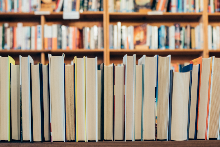 Baltimore County Public Libraries Bring Back Sunday Service at Select Branches with 'Wild About Sundays' Events