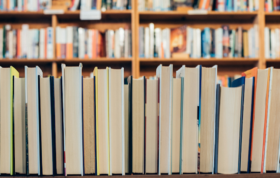 Baltimore County Public Libraries Bring Back Sunday Service at Select Branches with 'Wild About Sundays' Events