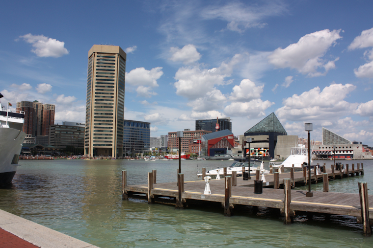Baltimore's Inner Harbor Struck by Mysterious Fish Kill, "Pistachio Tide" Phenomenon Identified as Culprit