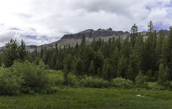 Bear Fire in Tahoe National Forest is Now 23% Contained with Evacuation Orders Downgraded in Sierra County