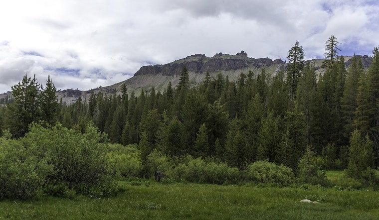 Bear Fire in Tahoe National Forest is Now 23% Contained with Evacuation Orders Downgraded in Sierra County