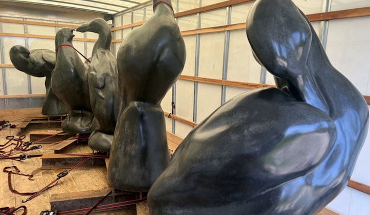 Bellevue Botanical Garden Hosts "Lost Bird Project" Installation to Spotlight Conservation and Habitat Preservation