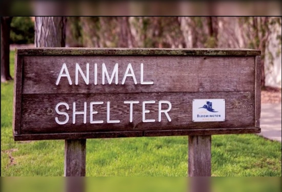 Bloomington Animal Shelter Welcomes $100K Revamp for Enhanced Pet Care and Adoption Services