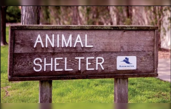 Bloomington Animal Shelter Welcomes $100K Revamp for Enhanced Pet Care and Adoption Services