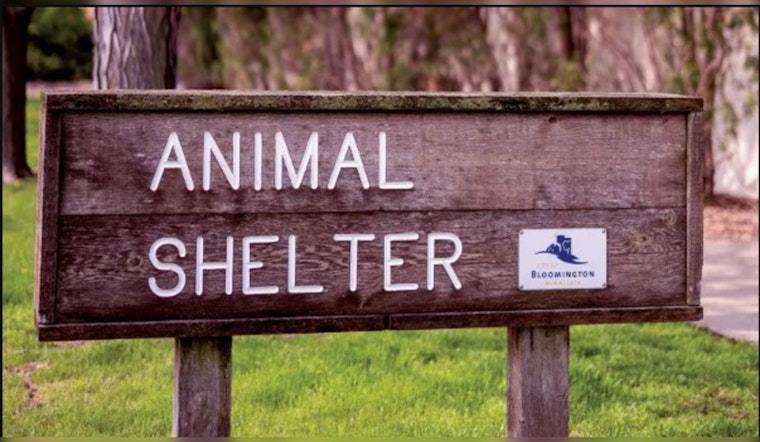 Bloomington Animal Shelter Welcomes $100K Revamp for Enhanced Pet Care and Adoption Services