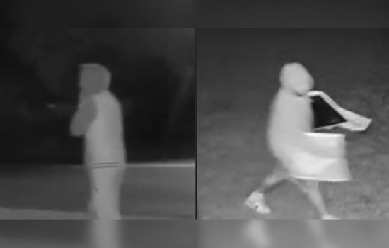 Bloomington PD Seeks Help Identifying Suspect Accused of Stealing Pride Flag and BLM Signs