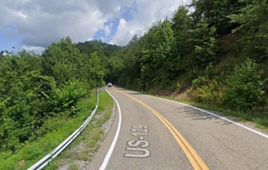 Blount County Deputy Fatally Shoots Bear 'Guarding' Body of Crash Victim on US Route 129 "The Dragon"
