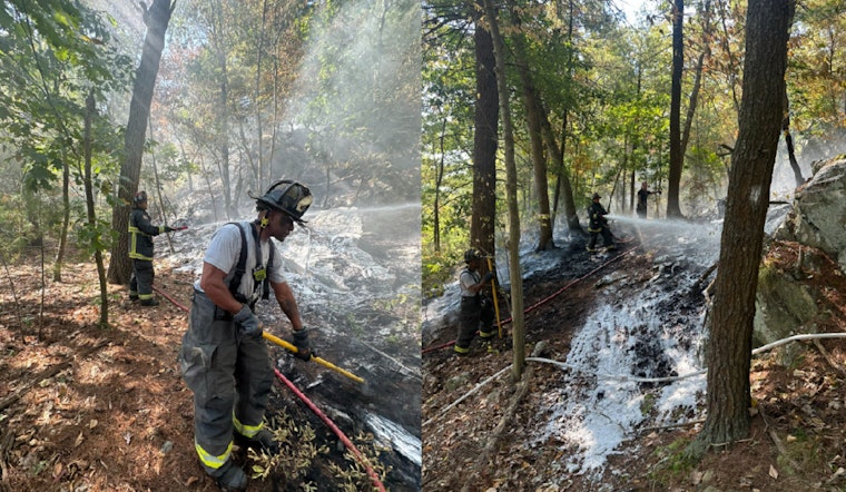 Boston Firefighters Battle Brush Fire Near Enneking Parkway, Maintain Vigilance Against Wildfire Risks